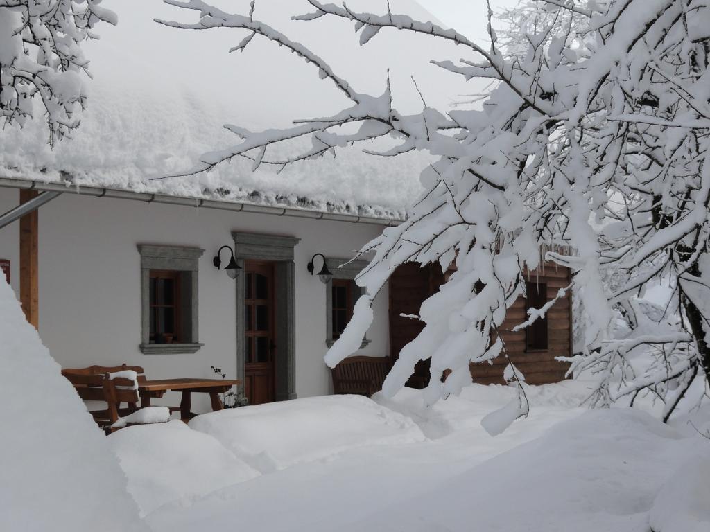 Alloggio per agriturismo Farm Dolinar Krainer